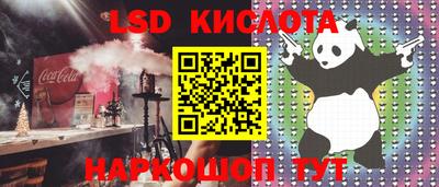 дмт Будённовск