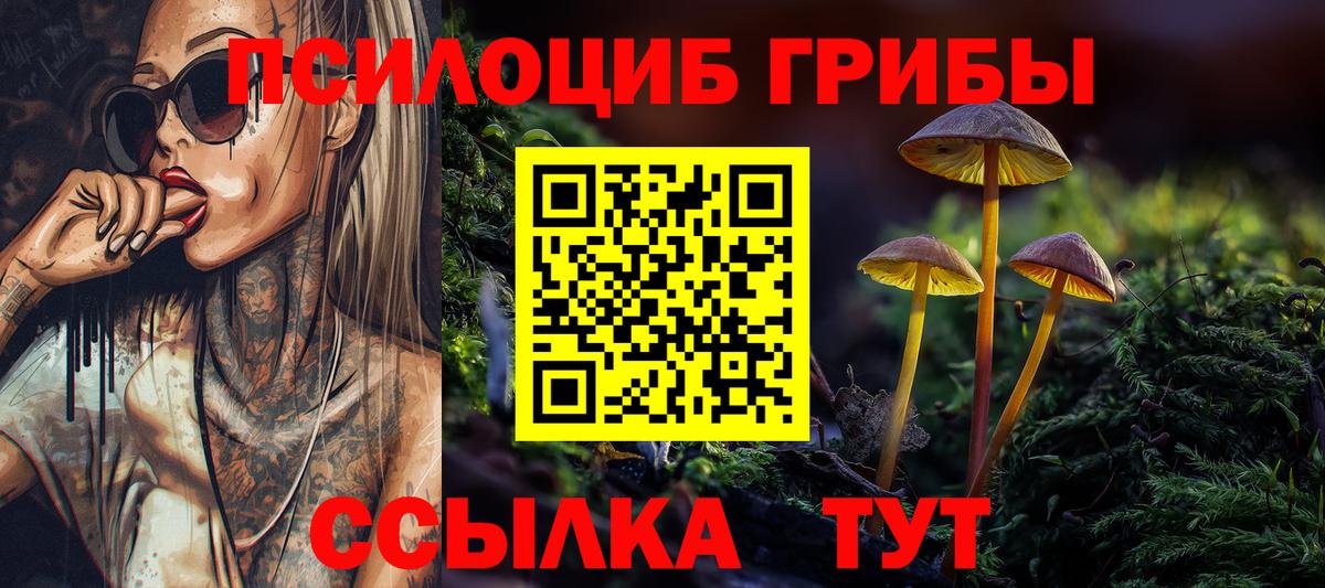 Псилоцибиновые грибы GOLDEN TEACHER Скопин