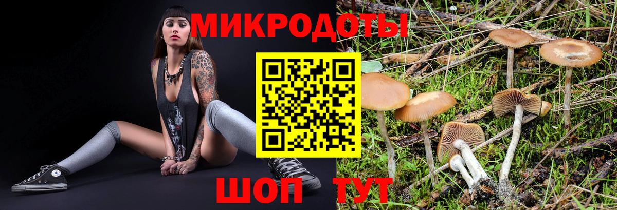 Галлюциногенные грибы мицелий  Вход с VPN  Псилоцибиновые грибы мухоморы  Скопин 